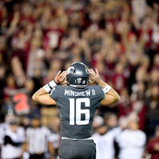 Gardner Minshew wallpaper