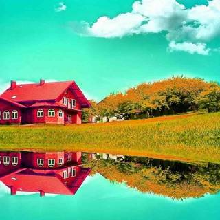 Real nature desktop wallpaper