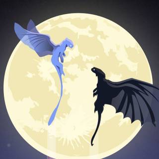 Night Fury and Light Fury art wallpaper