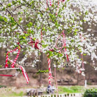 Springtime blossom wallpaper