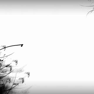 Pure white desktop wallpaper