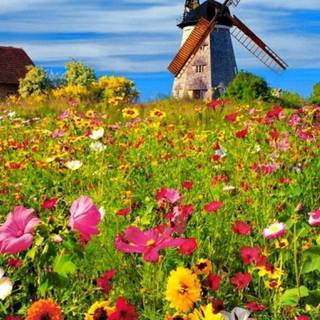 Spring nature laptop wallpaper