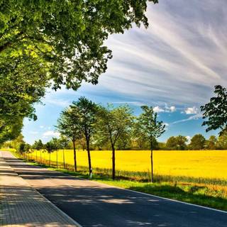 Spring nature laptop wallpaper