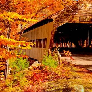 Covered bridge wallpaper