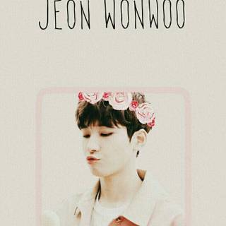 Seventeen Wonwoo wallpaper