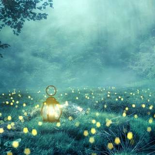 Lantern lights evening forest wallpaper