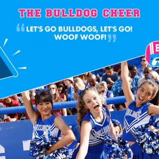 Bella and the Bulldogs wallpaper