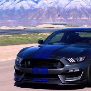 GT350 desktop wallpaper