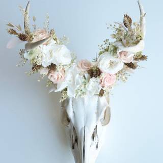 Flower crown beauty wallpaper