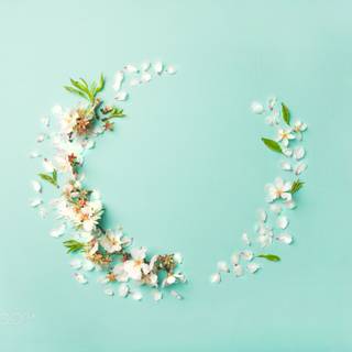 Pastel flower wreath wallpaper