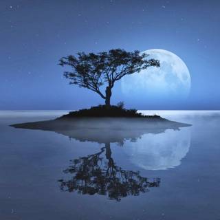 Nature night wallpaper