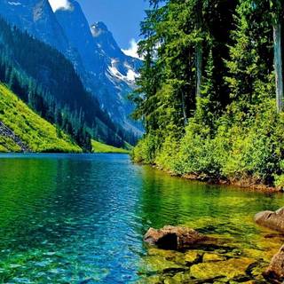 Rivers edge wallpaper