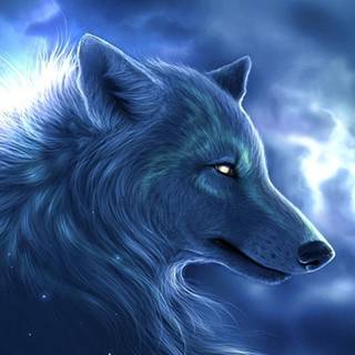 Galaxy wolf desktop wallpaper