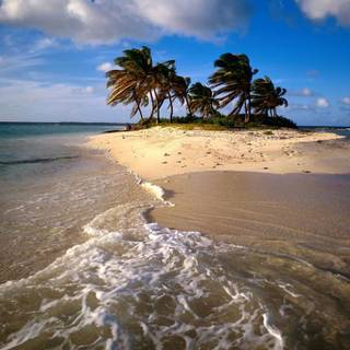 Caribbean beach wallpaper