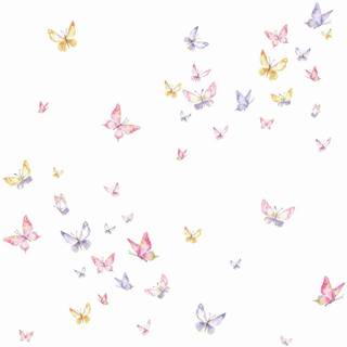 Butterfly aesthetics wallpaper