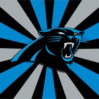 Carolina Panther desktop wallpaper