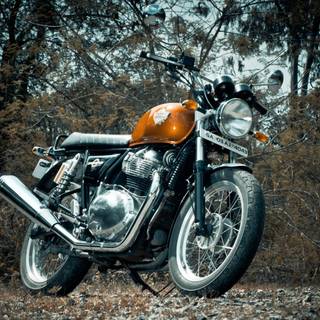 Interceptor 650 HD desktop wallpaper