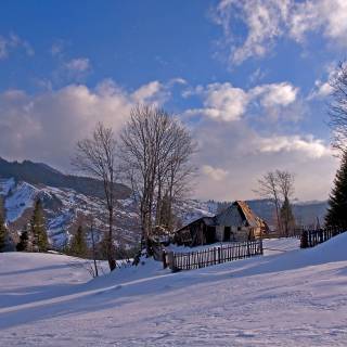 Backwoodz computer wallpaper