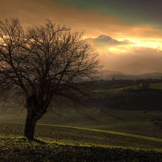 Early sunset wallpaper