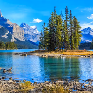 Lake in the park wallpaper