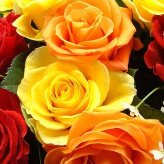 Colorful bouquet wallpaper