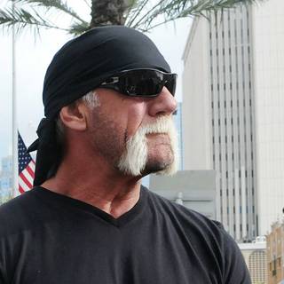 Hulk Hogan computer wallpaper