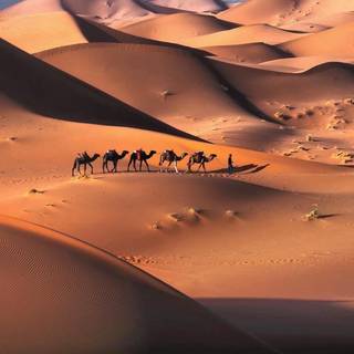 Algerian Desert Canyons wallpaper