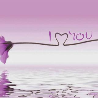 Romantic lavender wallpaper