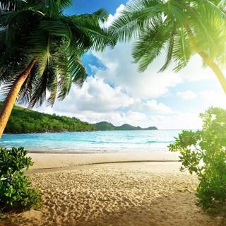 Seaside paradise wallpaper