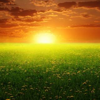 Spring sunset wallpaper