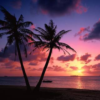 Paradise sunset wallpaper