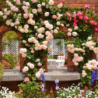Roses garden wallpaper