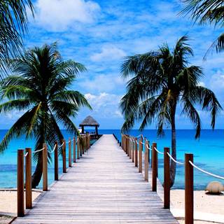 Paradise beach Ultra HD wallpaper