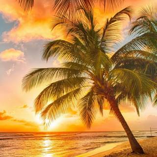 Paradise beach Ultra HD wallpaper