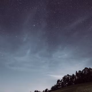 Spring night wallpaper