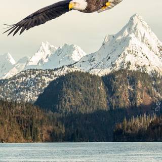 Mountain lake Ultra HD wallpaper