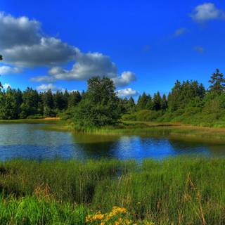 Blue green summer wallpaper