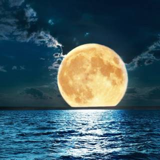 Full Moon desktop HD wallpaper
