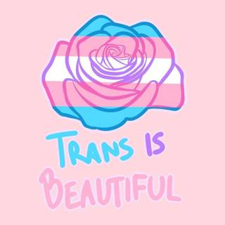 Trans pride flag phone wallpaper