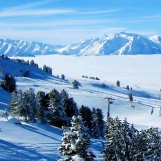 Beautiful 4k mobile wallpaper