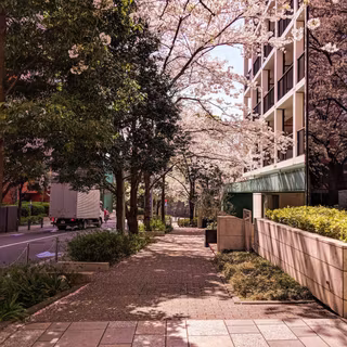 Japan street aesthetic wallpaper