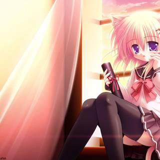 Anime cat girl HD wallpaper
