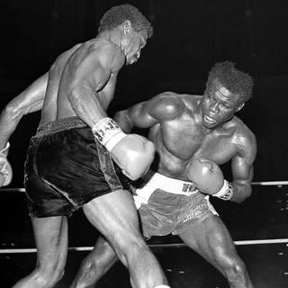 José Nápoles wallpaper