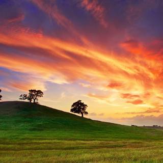 Clouds trees grass HD wallpaper