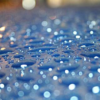 Rainy season HD wallpaper