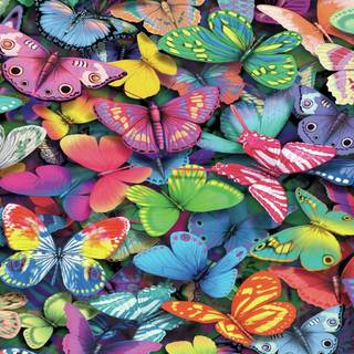 Spring butterflies wallpaper