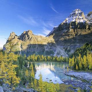 Really cool landscape wallpaper