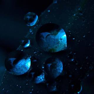 Drops water surface macro blur wallpaper