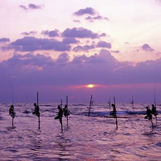 Desktop Sri Lanka wallpaper