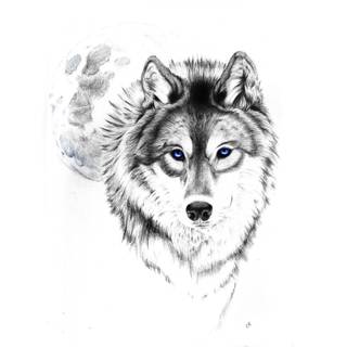 Wolf tattoo wallpaper